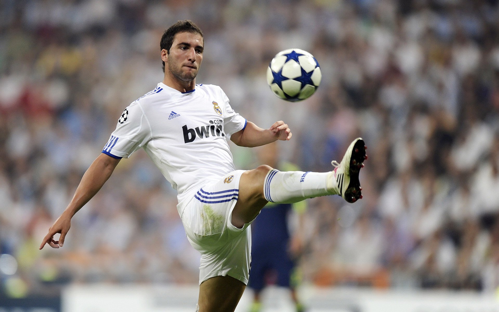 开云体育中国-卡拉斯科一锤定音，伊朗对阵日本，一个外人如何成为亚洲足球的破局者